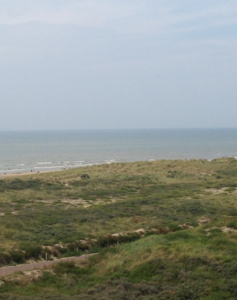 2a studio Noordwijk Ausblick